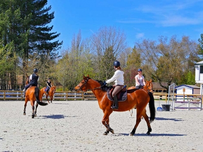 cours cheval entrainement