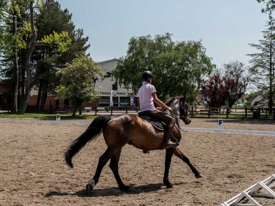 cours cheval dressage