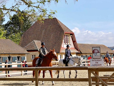 Cours compétition cheval