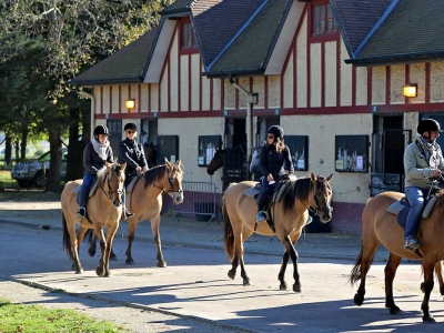 balade plage cheval galop 3