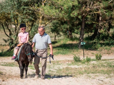 poney1