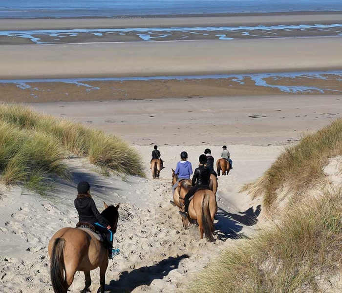 Balades et Randonnées - Parc Equestre du Touquet-Paris-Plage