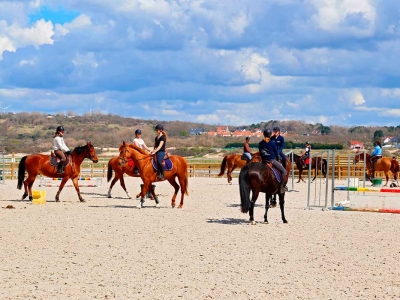 Stage cours cheval